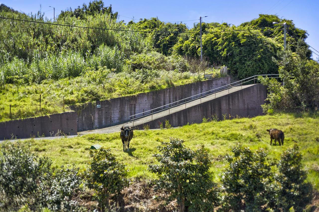 Casa Afonso Na Madeira Villa São Jorge Exterior photo